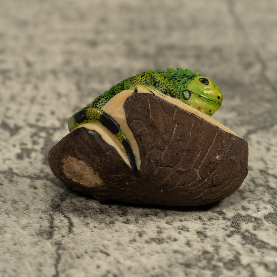 Iguana Lizard Reptile Tagua Carving