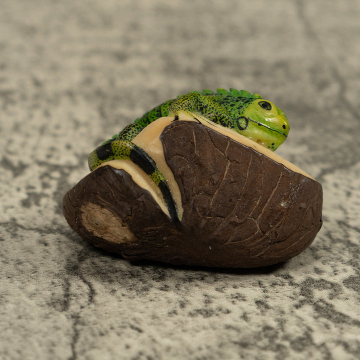 Iguana Lizard Reptile Tagua Carving
