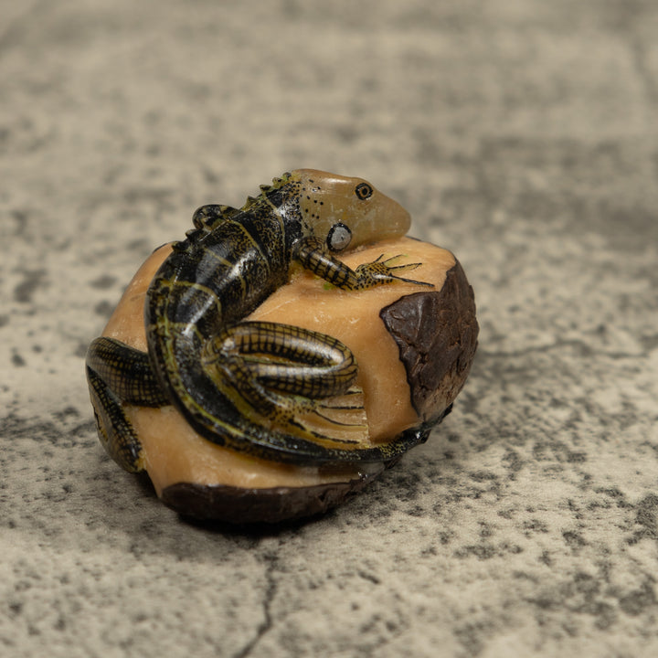 Iguana Lizard Tagua Carving