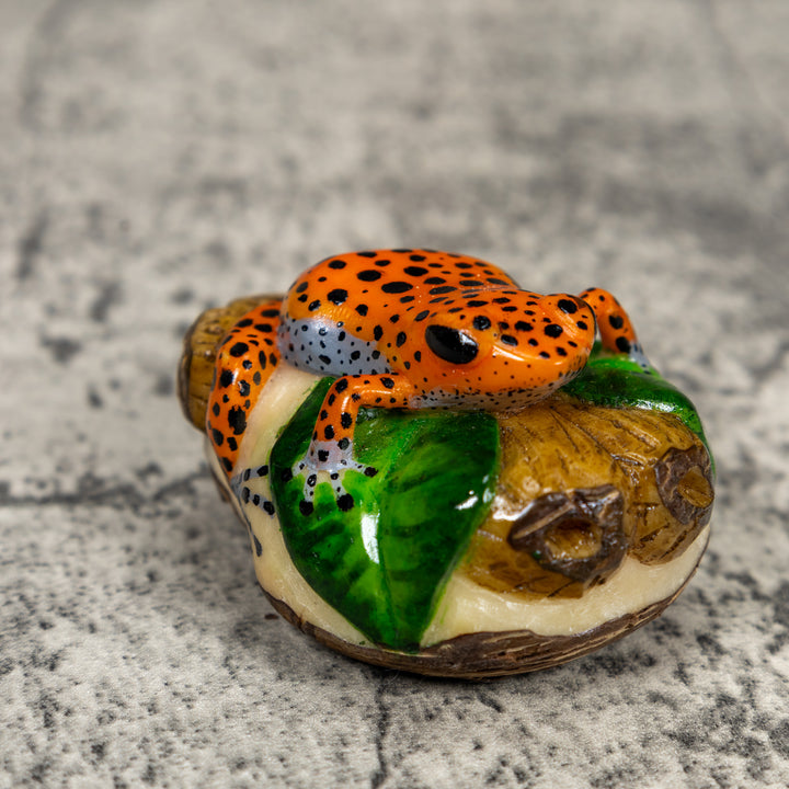 Black And Orange Poison Dart Frog Tagua Carving