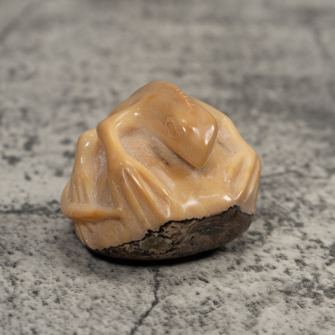 Vintage White Natural Iguana Tagua Carving