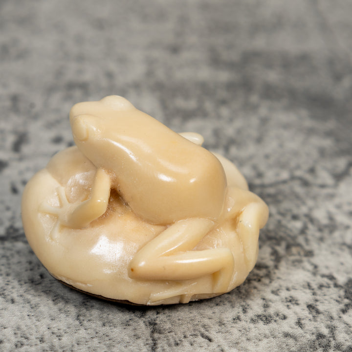 Natural White Rainforest Frog Tagua Carving