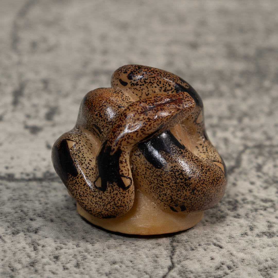 Brown And Black Boa Snake Tagua Carving