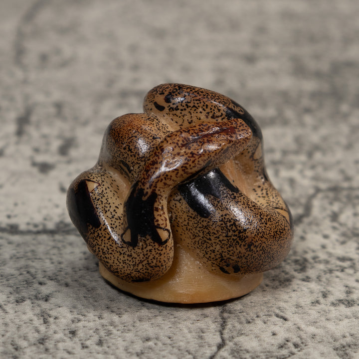 Brown And Black Boa Snake Tagua Carving