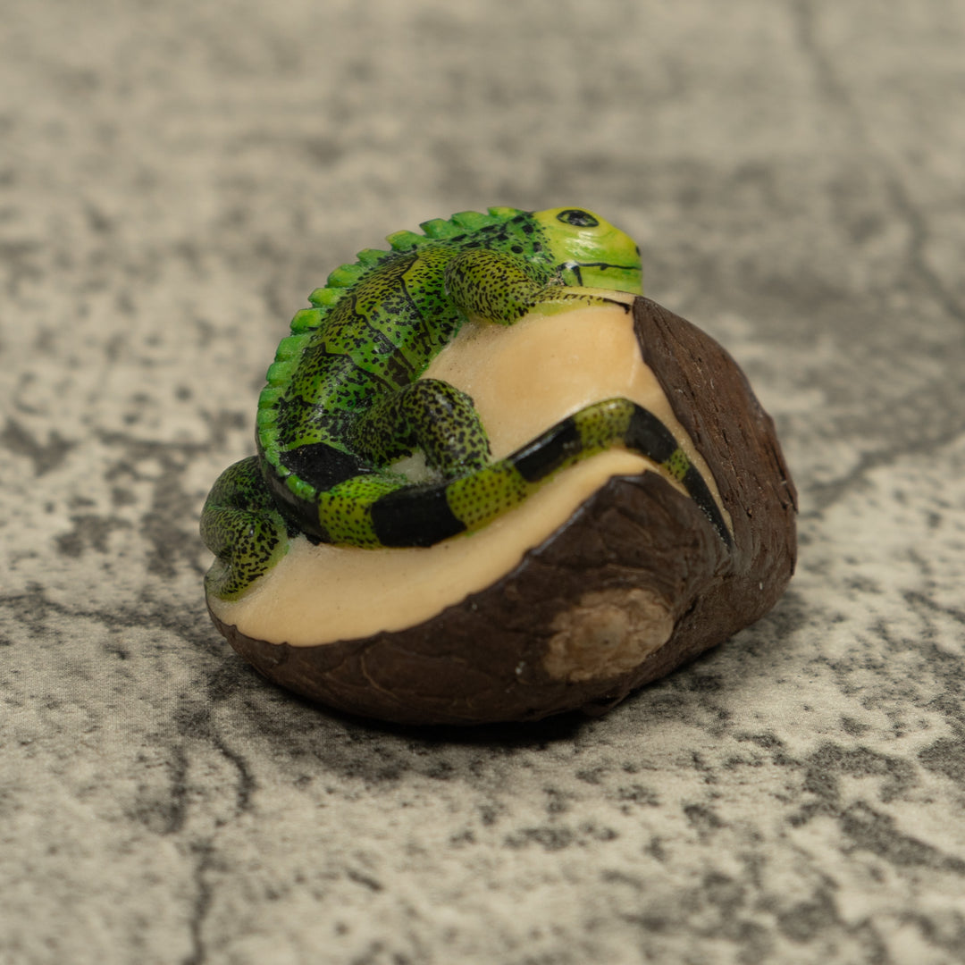 Iguana Lizard Reptile Tagua Carving
