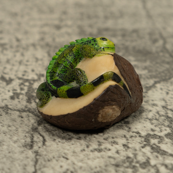 Iguana Lizard Reptile Tagua Carving