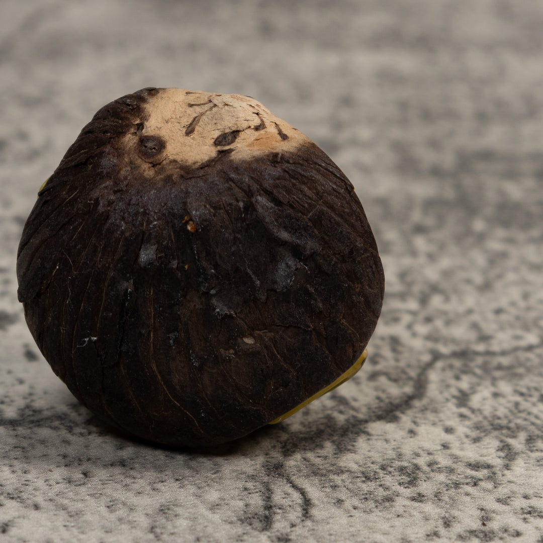 Vintage Green And Black Poison Dart Frog Tagua Carving