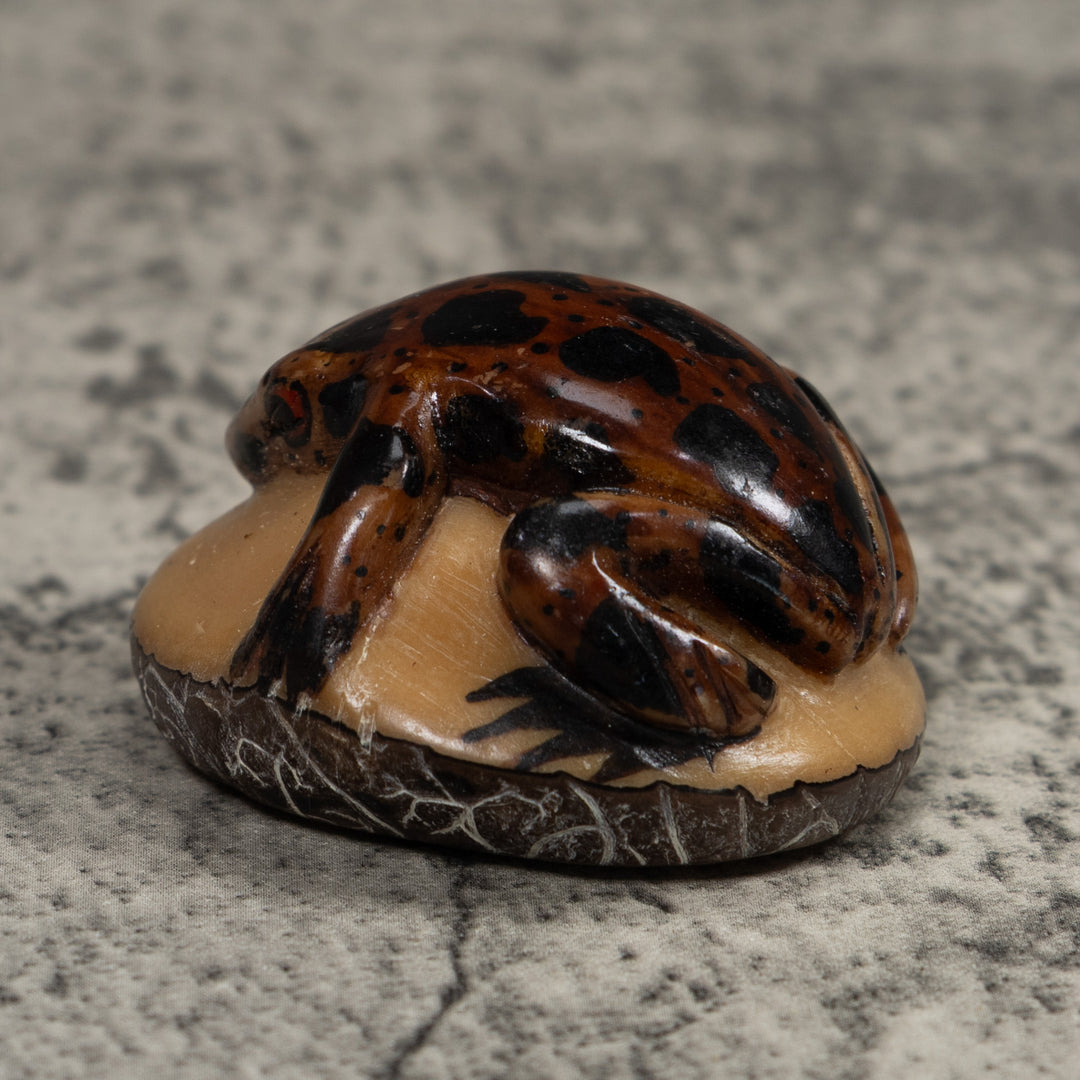 Vintage Brown And Black Frog Tagua Carving
