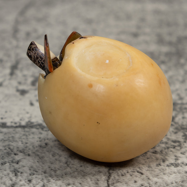 Sea Turtle Emerging From Egg Tagua Carving
