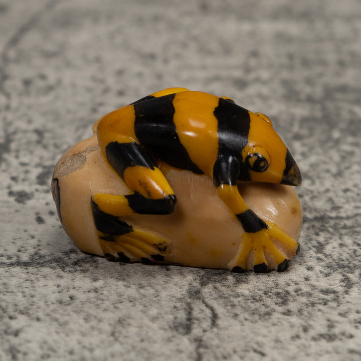 Vintage Poison Dart Frog Tagua Carving