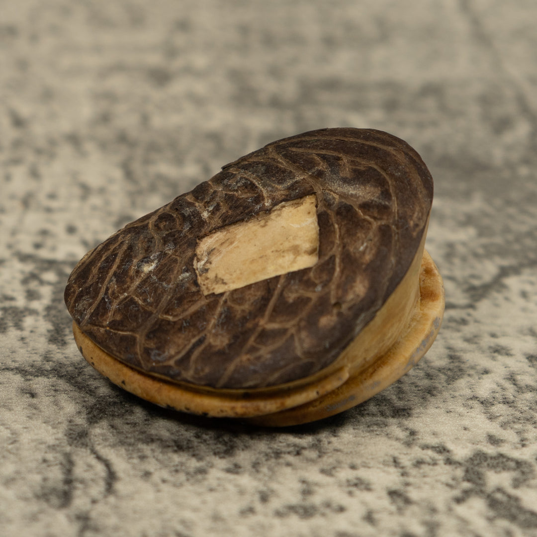 Stingray Fish Ocean Tagua Carving