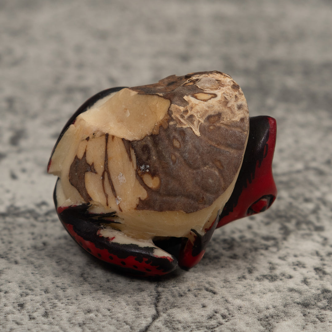 Poison Dart Frog Tagua Carving