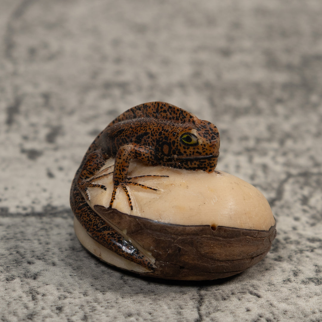 Brown And Black Gecko Lizard Tagua Carving