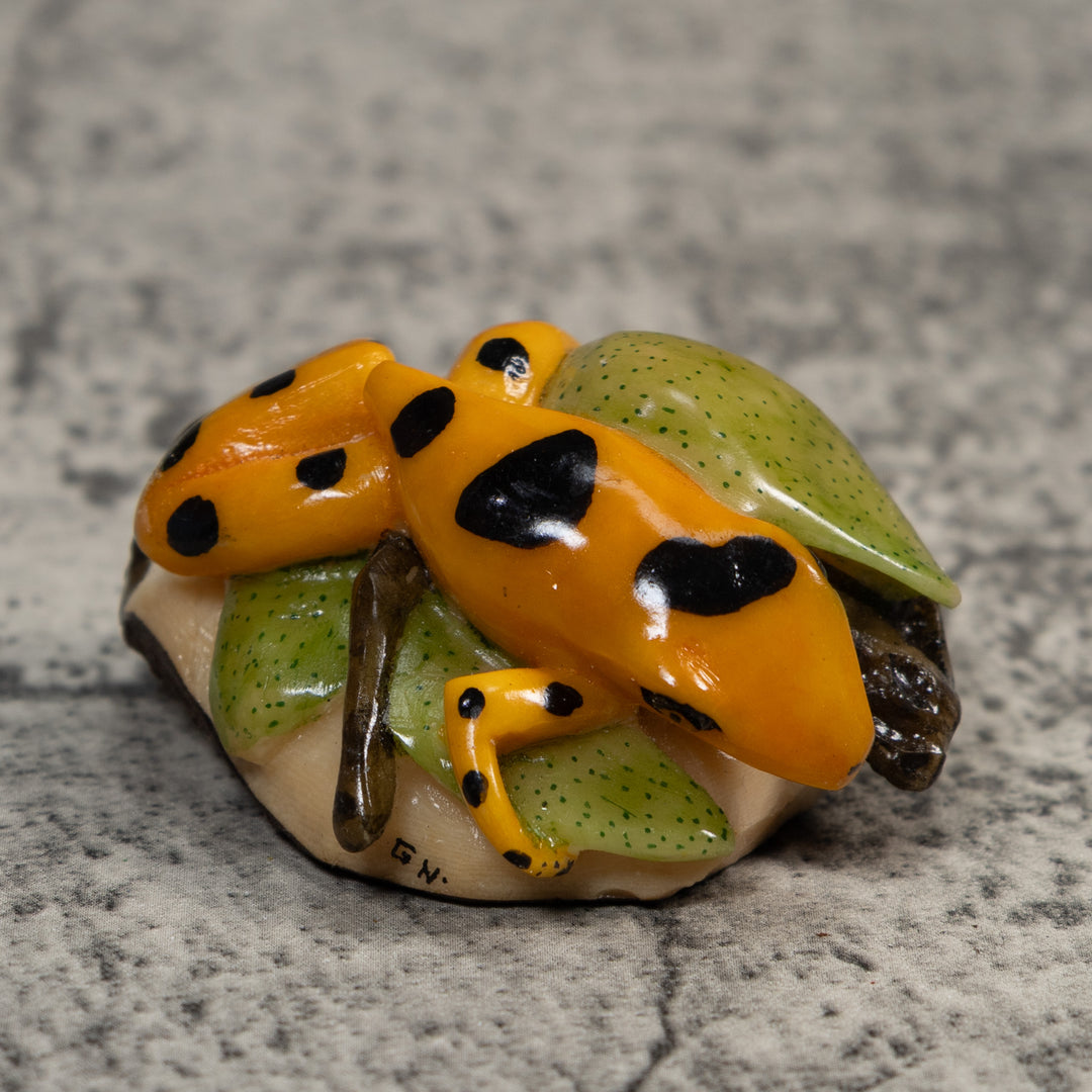 Gold Black And Green Poison Dart Frog Tagua Carving