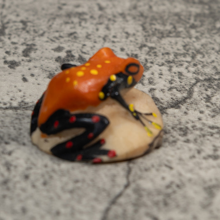 Vintage Black Orange And Yellow Frog Tagua Carving
