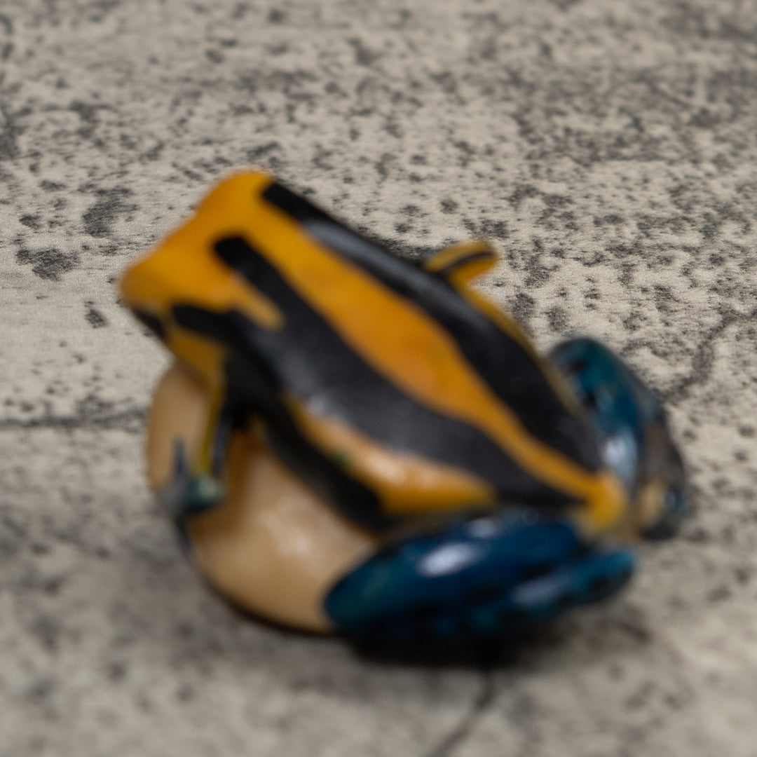 Vintage Black Blue And Yellow Frog Tagua Carving