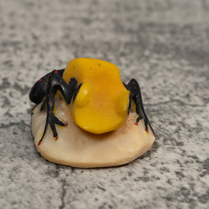 Vintage Black Red And Yellow Frog Tagua Carving