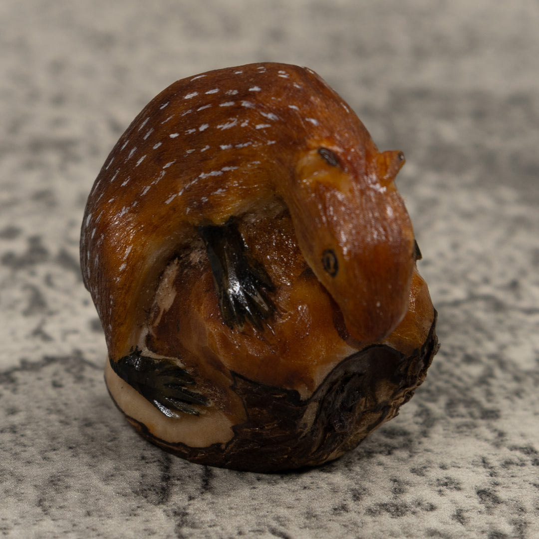 Neque Conojo Pintado Tagua Carving