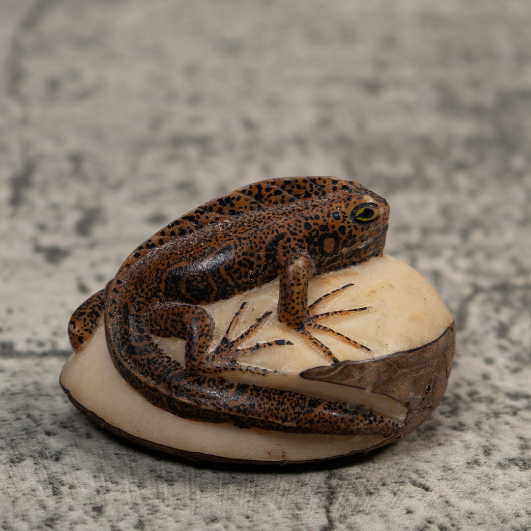 Brown And Black Gecko Lizard Tagua Carving