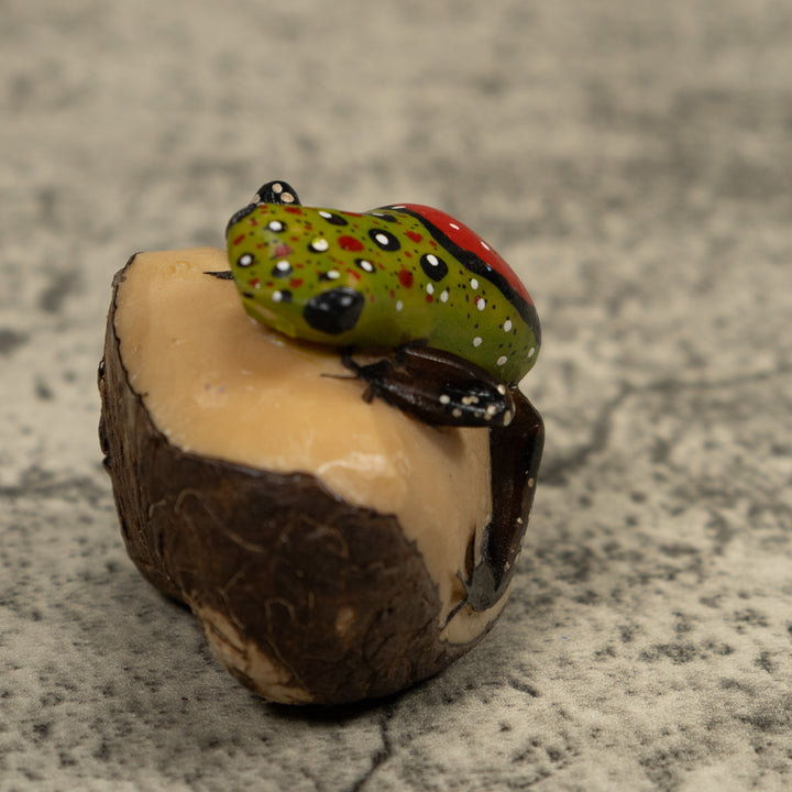 Poison Dart Frog Tagua Carving