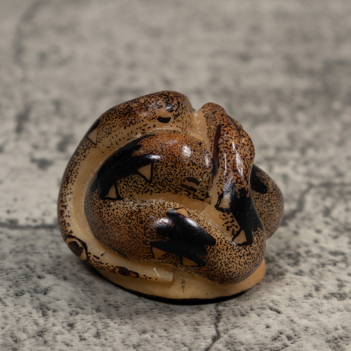 Brown And Black Boa Snake Tagua Carving