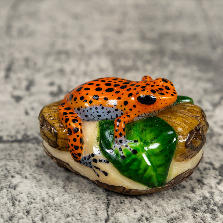 Black And Orange Poison Dart Frog Tagua Carving