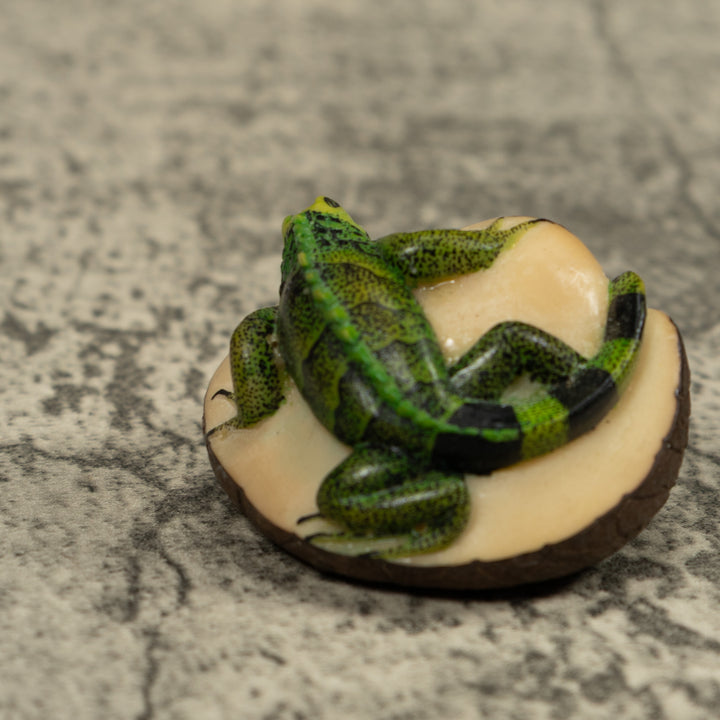 Iguana Lizard Reptile Tagua Carving