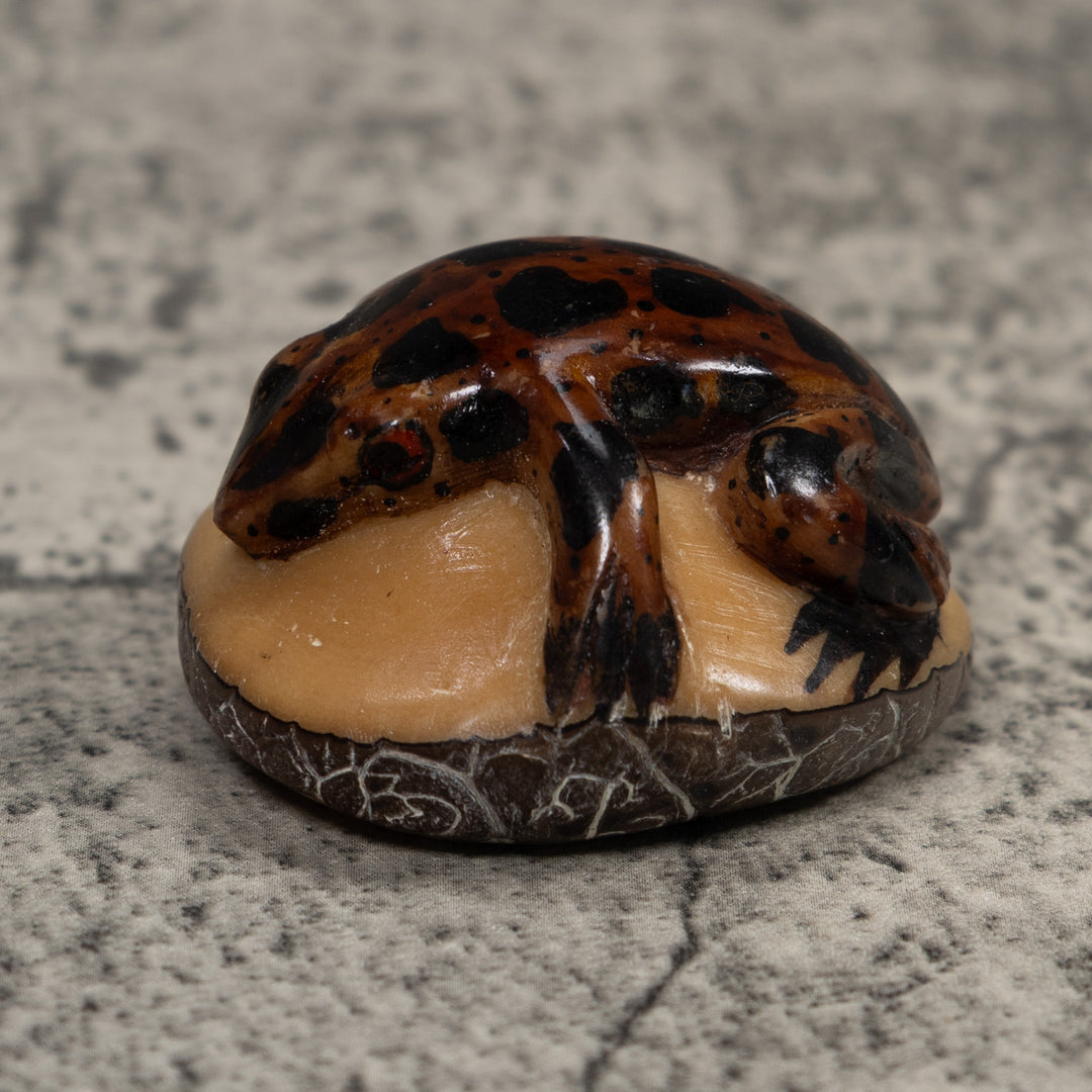 Vintage Brown And Black Frog Tagua Carving