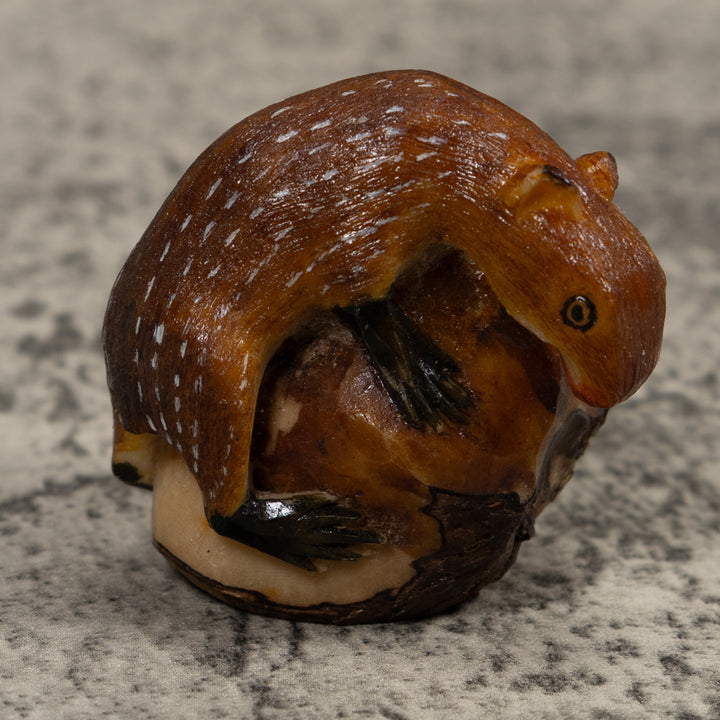 Neque Conojo Pintado Tagua Carving