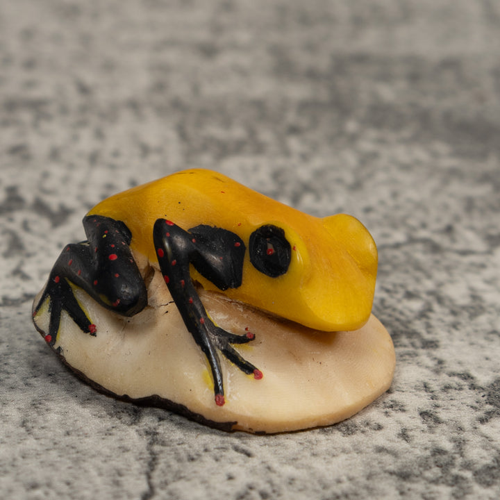 Vintage Black Red And Yellow Frog Tagua Carving