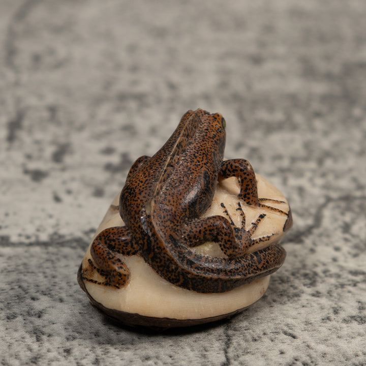 Brown And Black Gecko Lizard Tagua Carving