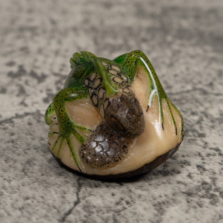 Iguana Lizard Reptile Tagua Carving