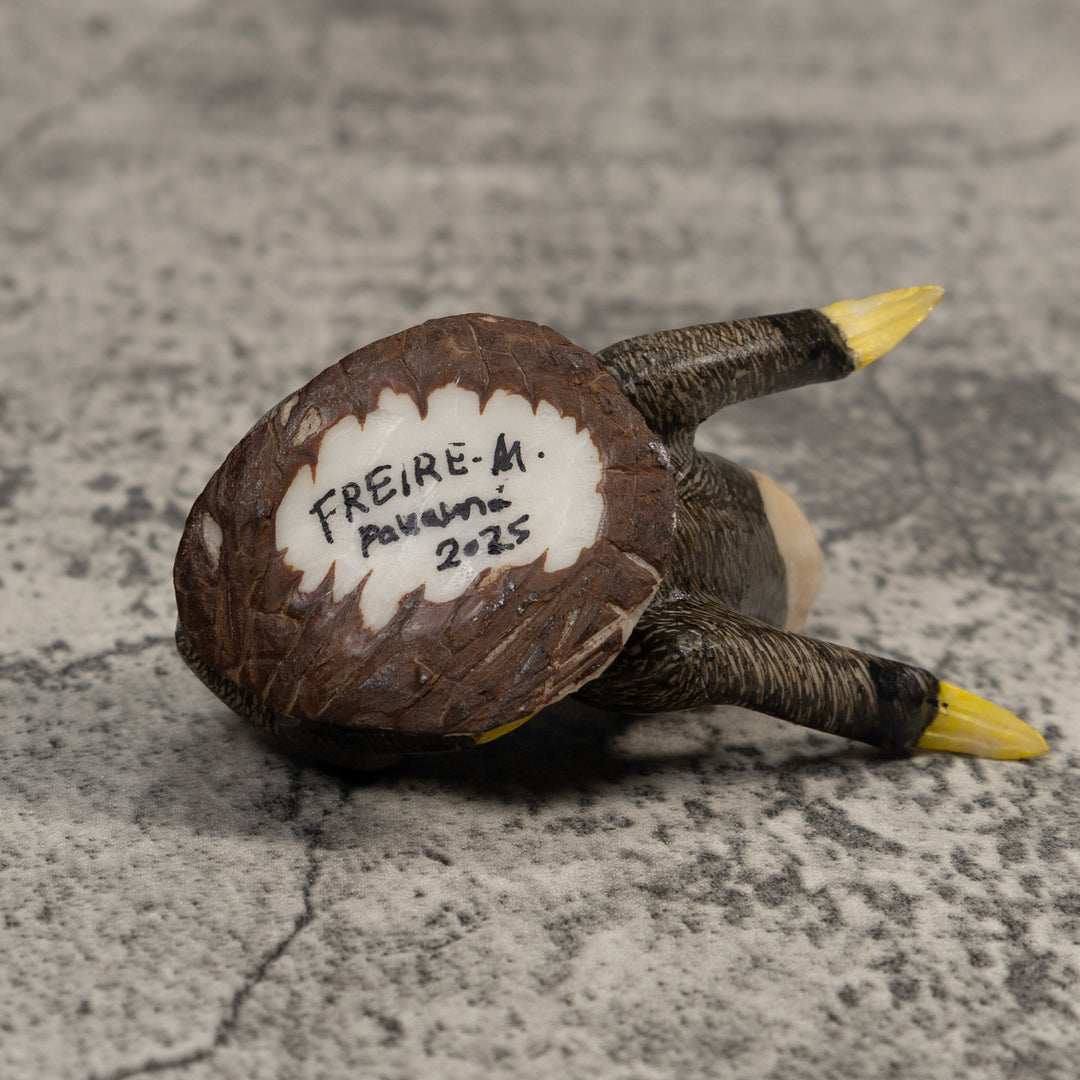 Stunning Sloth Tagua Carving