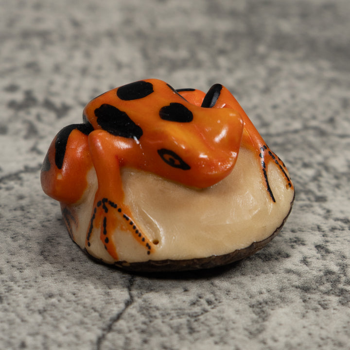 Vintage Black And Gold Frog Tagua Carving