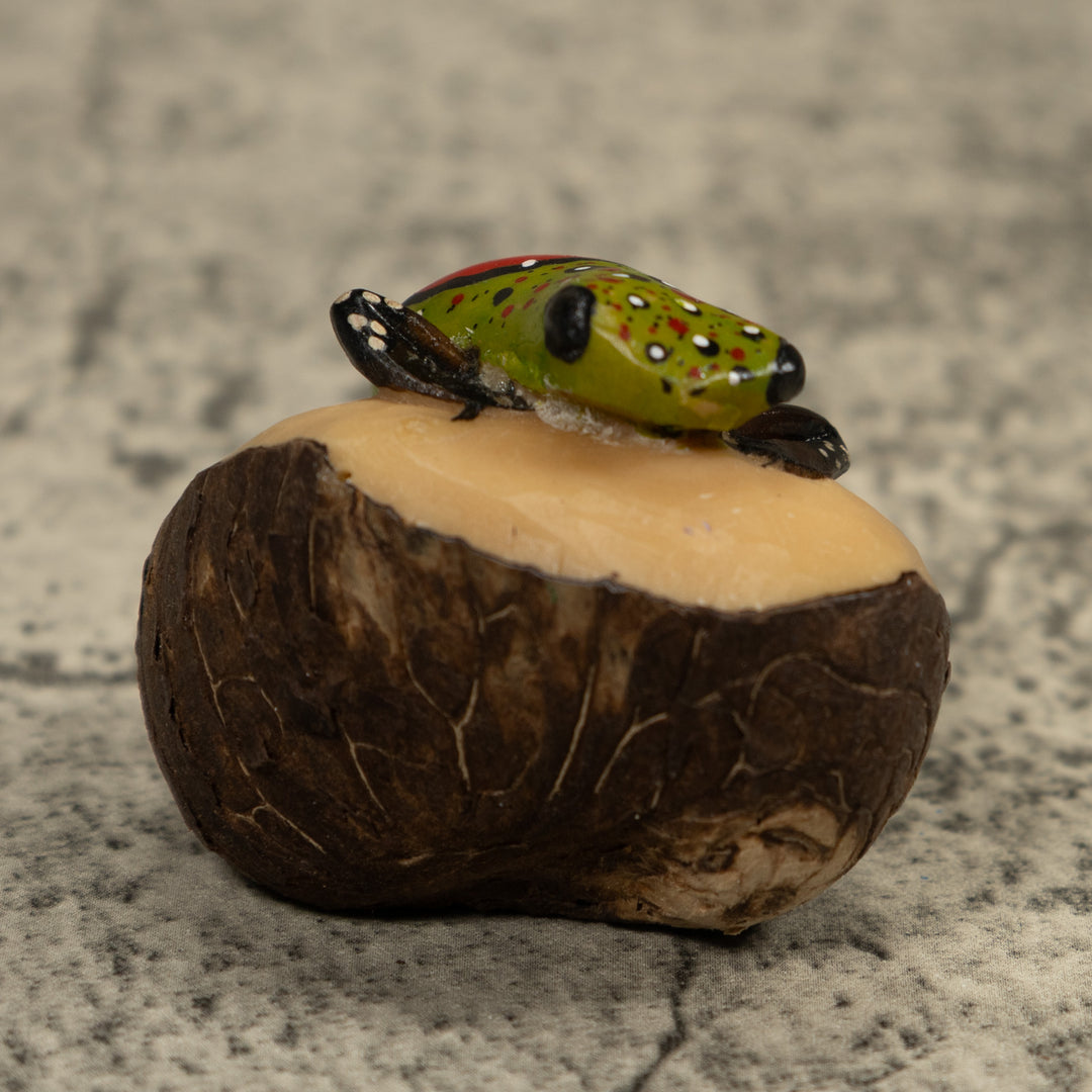Poison Dart Frog Tagua Carving