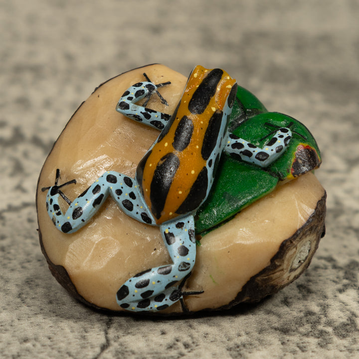 Poison Dart Frog Tagua Carving