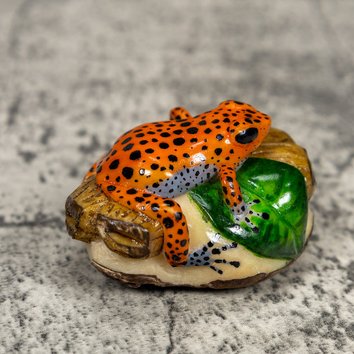 Black And Orange Poison Dart Frog Tagua Carving