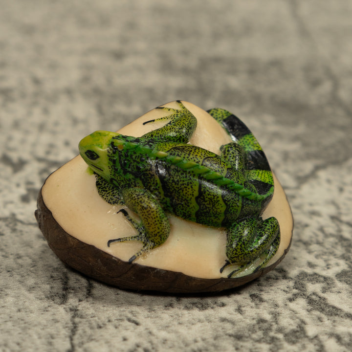 Iguana Lizard Reptile Tagua Carving