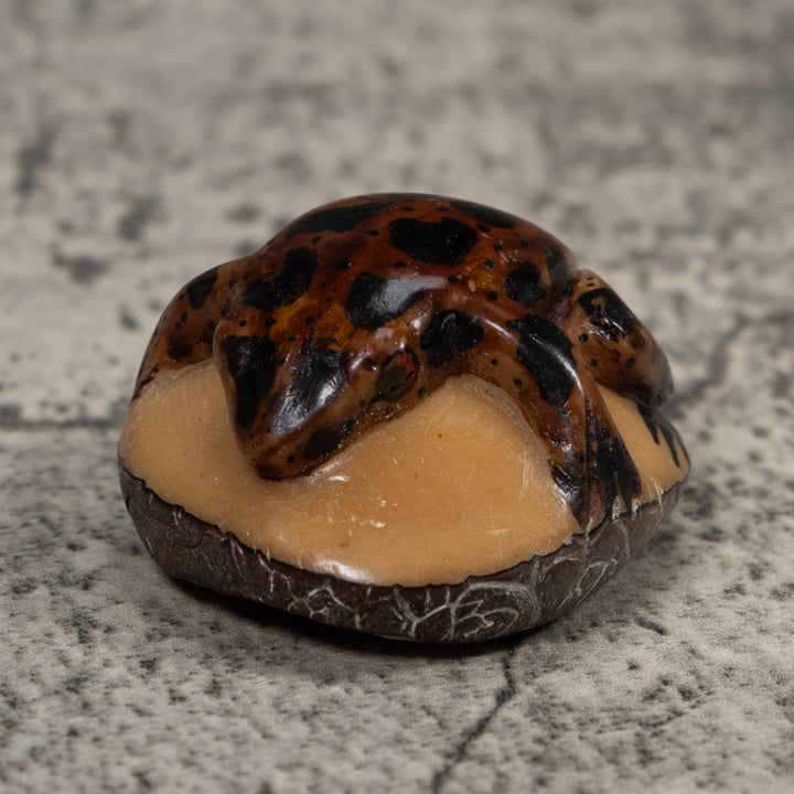 Vintage Brown And Black Frog Tagua Carving
