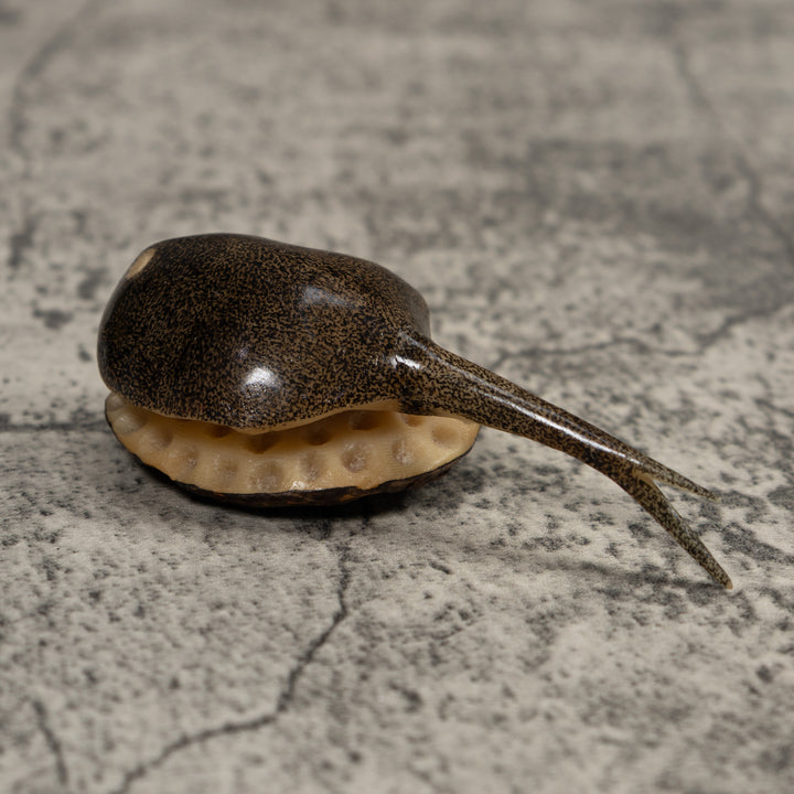 Ocean Stingray Tagua Carving
