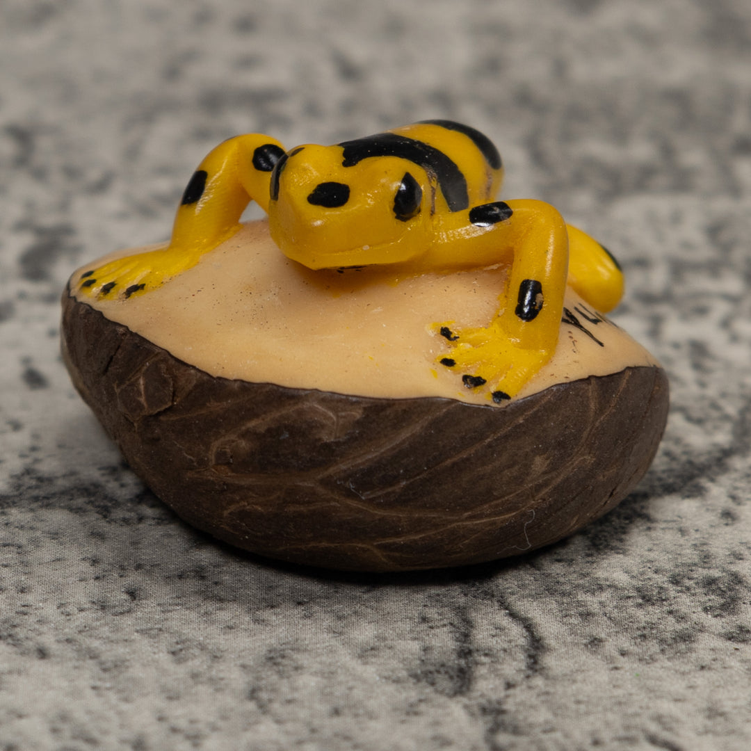 Golden Frog Tagua Carving