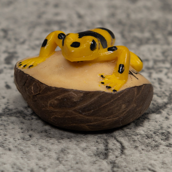 Golden Frog Tagua Carving