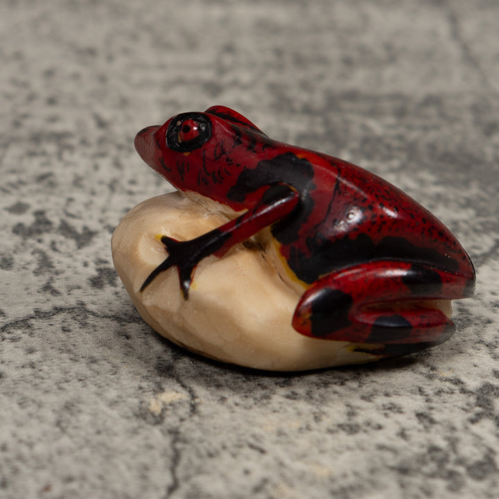 Vintage Red And Black Frog Tagua Carving
