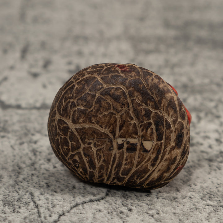 Vintage Red And Black Poison Dart Frog Tagua Carving