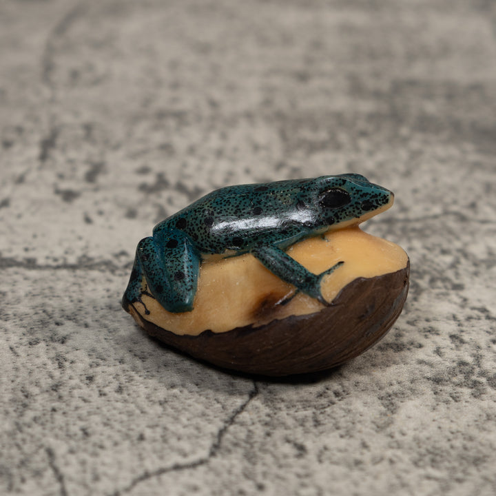 Vintage Blue And Black Frog Tagua Carving