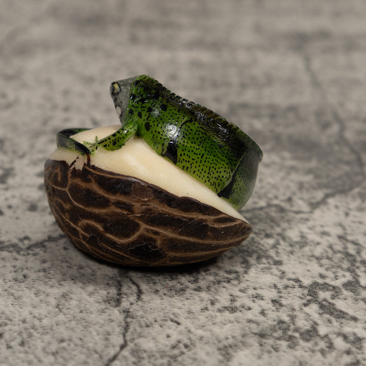 Iguana Lizard Reptile Tagua Carving