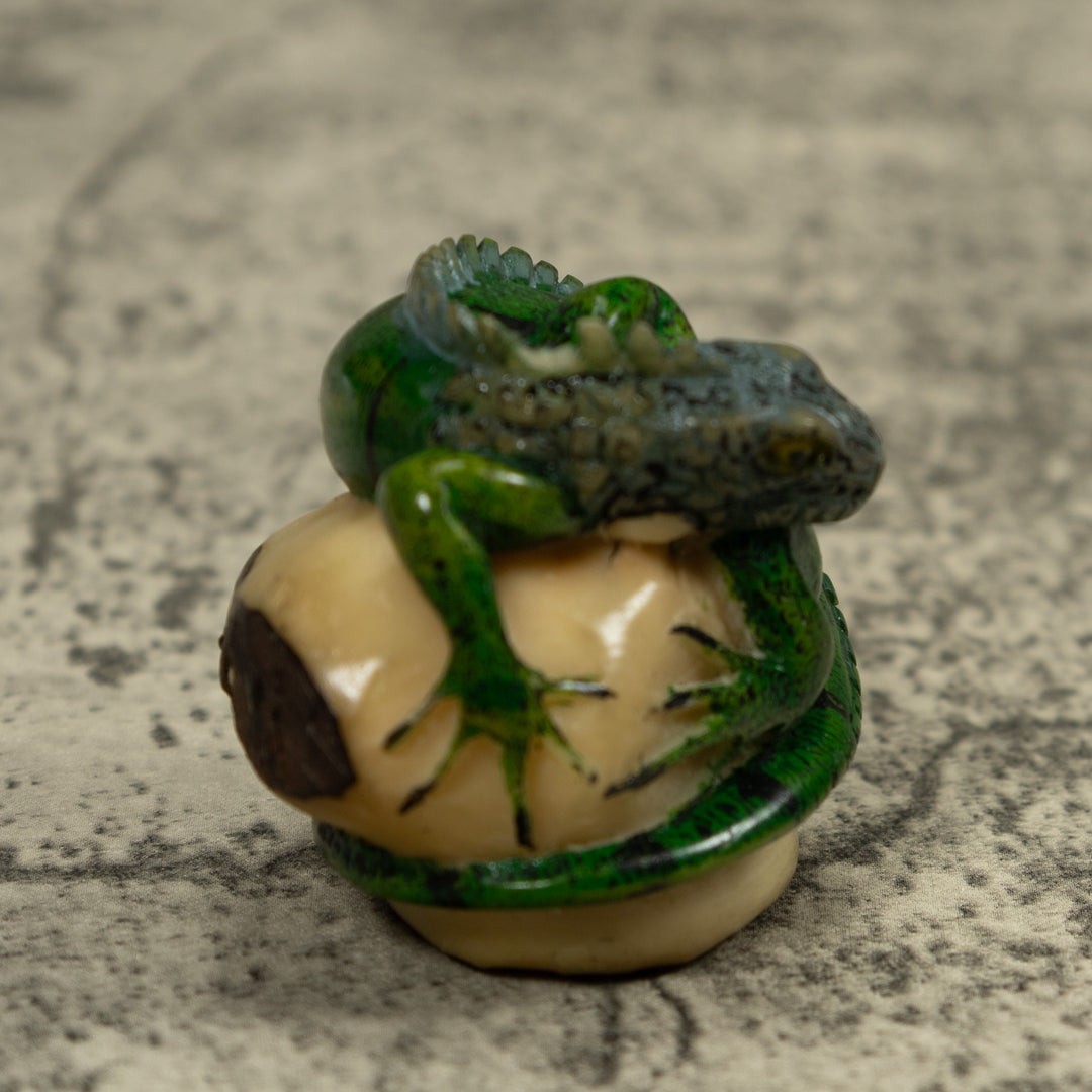 Iguana Lizard Reptile Tagua Carving