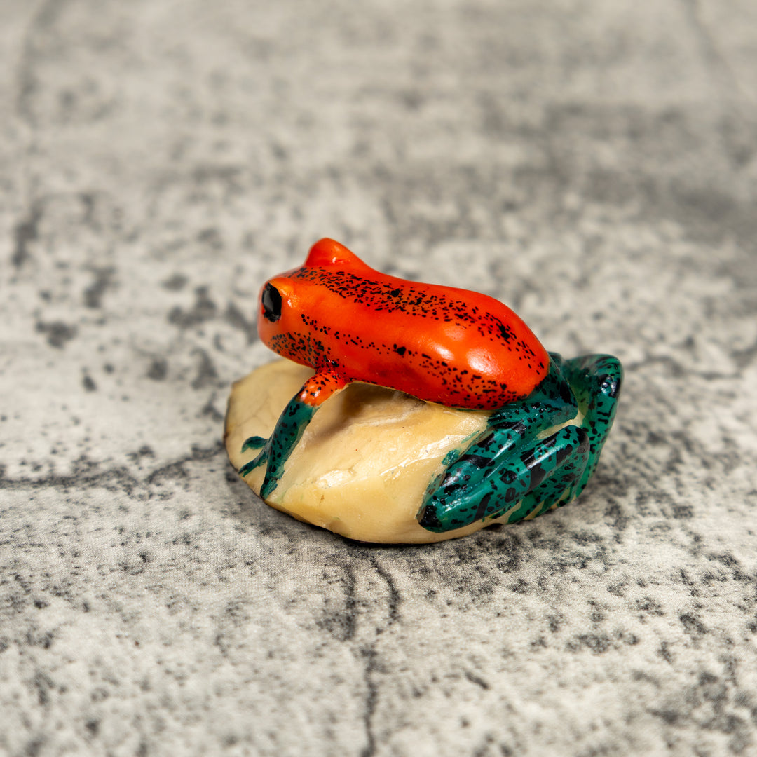 Red And Blue Poison Dart Frog Tagua Carving