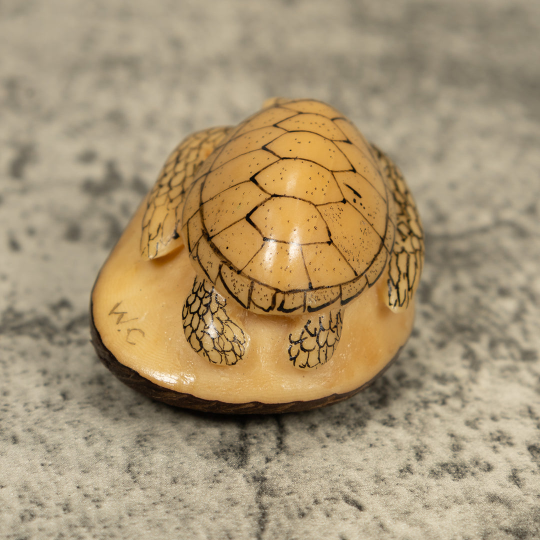 Vintage Black And White Sea Turtle Tagua Carving