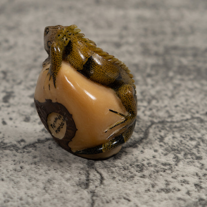 Iguana Lizard Reptile Tagua Carving